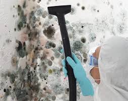 Best Water Damage & Mold Remediation  in Muenster, TX